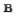 Negrita